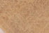 Antique Kashan Area Rug (7' x 9')